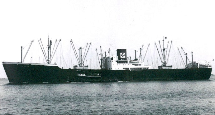 LTK00119501220001 FERNSEA