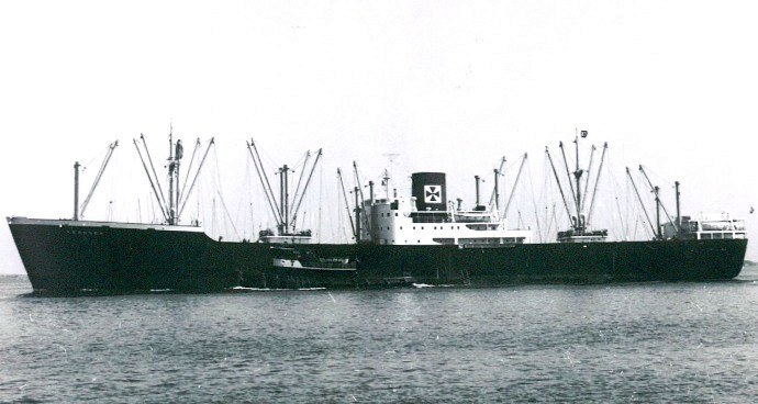 LTK00119501220001 FERNSEA