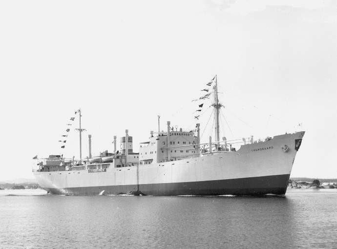 LTK00119520320001 THORSGAARD