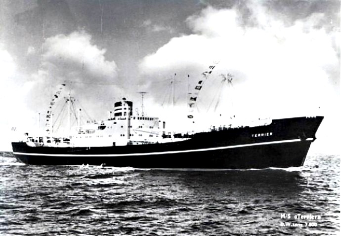 LTK00119541120001 TERRIER