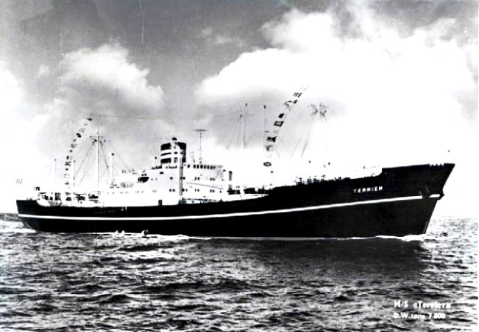 LTK00119541120001 TERRIER