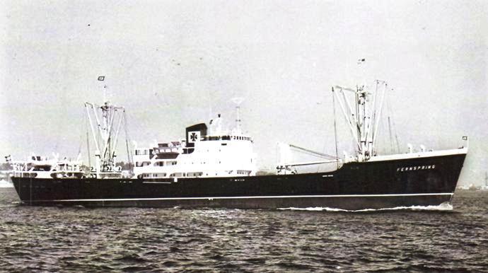 LTK00119551420001 FERNSPRING.JPG