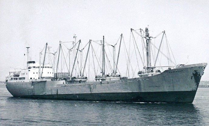 LTK00119570520001 FERNWOOD