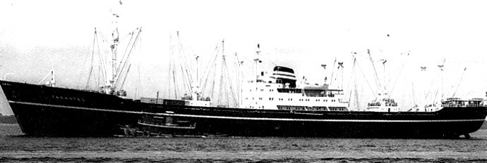 LTK00119601320001 TARANTEL