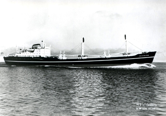 LTK00119601520001 TRICOLOR