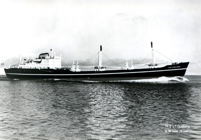 LTK00119601520001 TRICOLOR