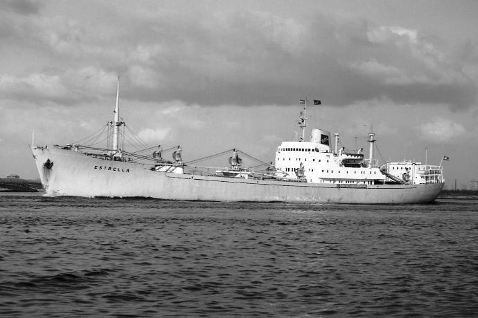 LTK00119610120001 ESTRELLA