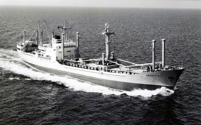 LTK00119621120001 SVANEFJELL