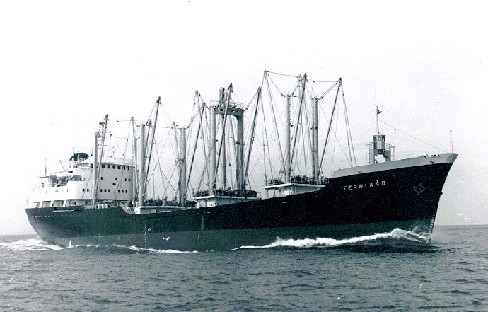 LTK00119640320001 FERNLAND