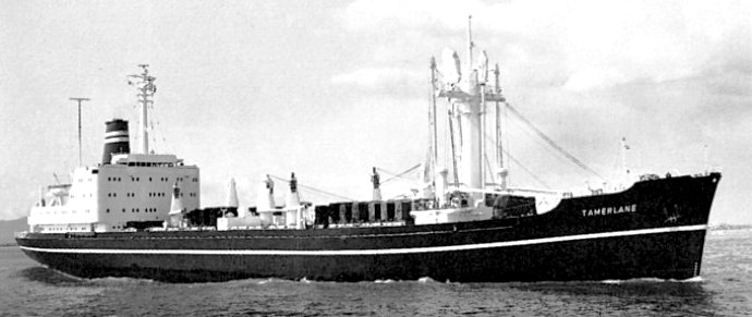 LTK00119670520001 TAMERLANE