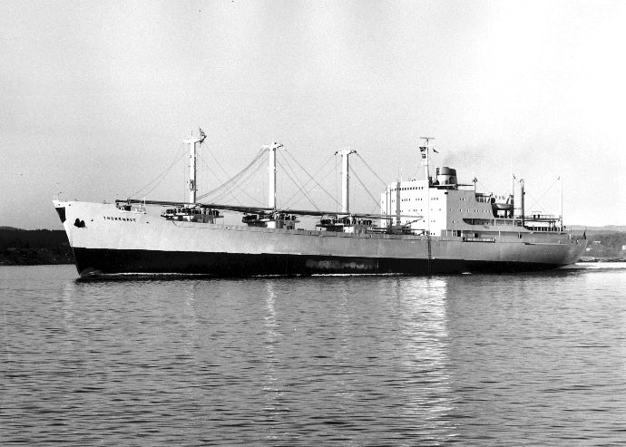 LTK00119680220001 THORSWAVE