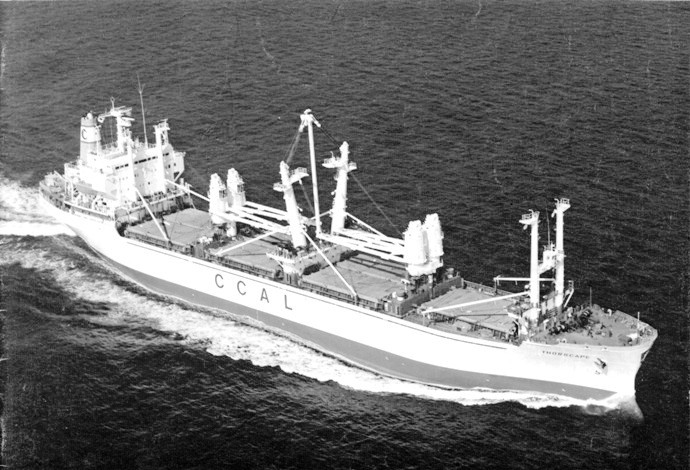 LTK00119770120001 THORSCAPE