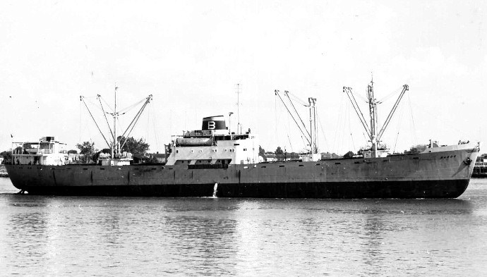 TRH10119570220002 NARDO
