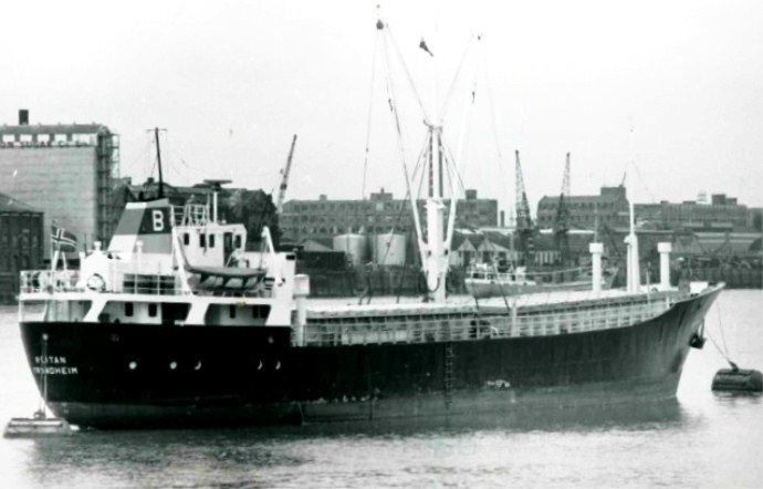 TRH10119660120001 REITAN