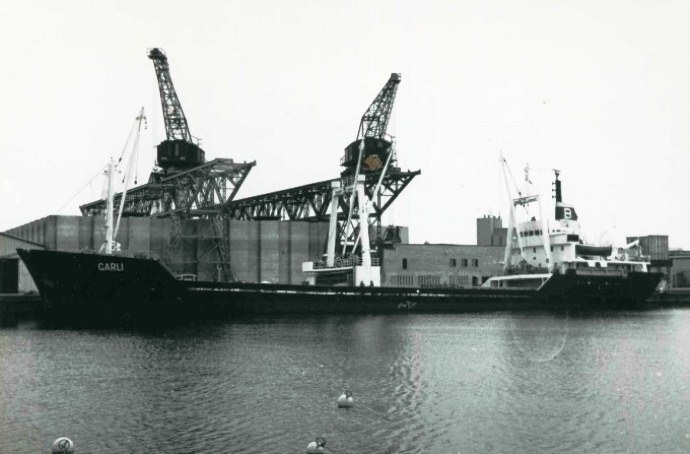 TRH10119710220001 GARLI