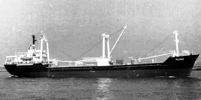 TRH10119730120001 MILDRID
