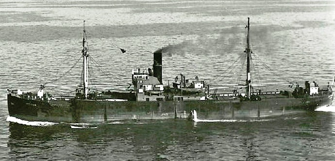 TRH10419470120004 ELFRIDA