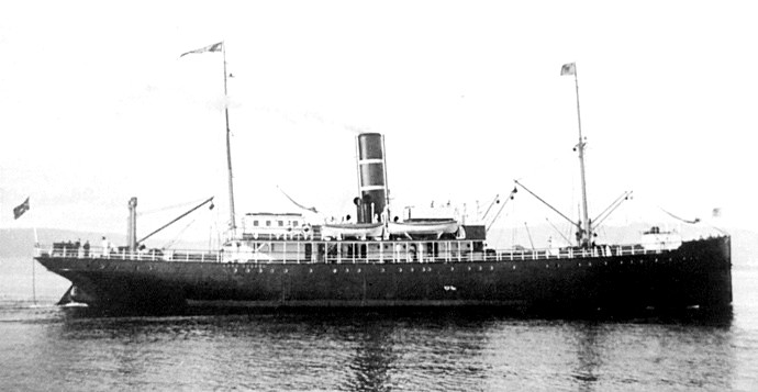 TRH11019100320001 KONG GUDROD