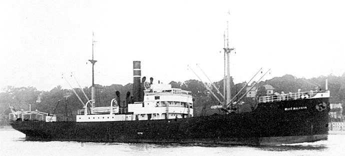 TRH11019250120001 KONG HALFDAN