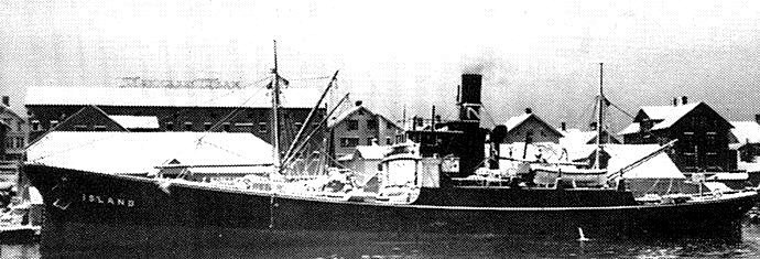 TSD10619300120001 STEINMANN